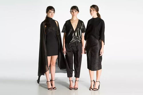 羅德島設(shè)計學院 服裝設(shè)計 申請解析 如何拿下 善變 的獨立命題項目