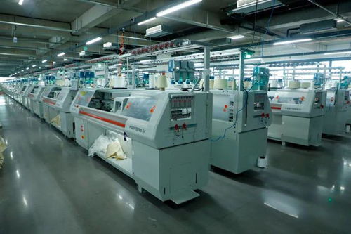 邢臺(tái)因地制宜探索 共享智造 新路徑